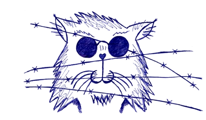 Membrane
Lesung von Briefwechseln mit Musik